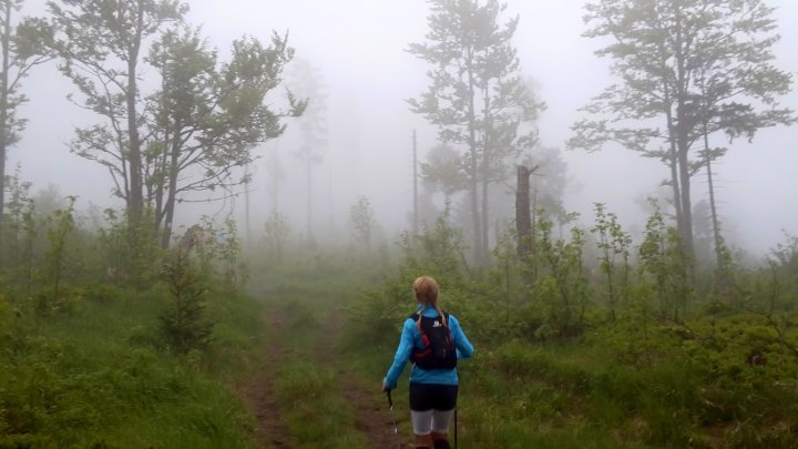 Der Knig im Bayerwald beim Ultratrail Lamer Winkel 2015