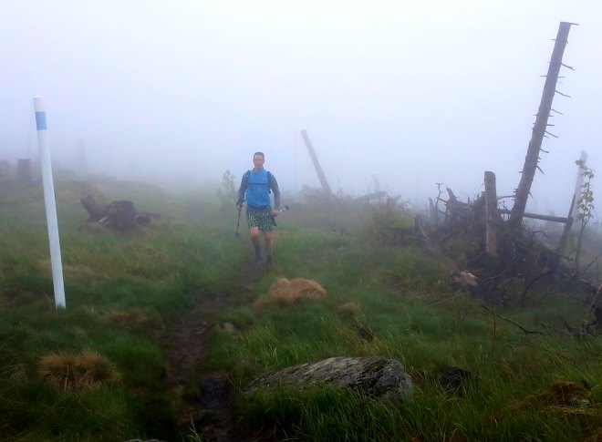 Der König im Bayerwald beim Ultratrail Lamer Winkel 2015