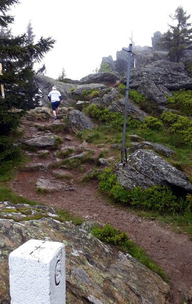 Der Knig im Bayerwald beim Ultratrail Lamer Winkel 2015