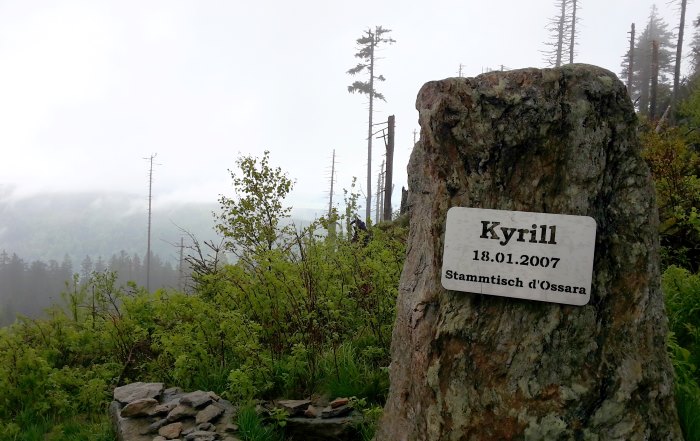 Der König im Bayerwald beim Ultratrail Lamer Winkel 2015