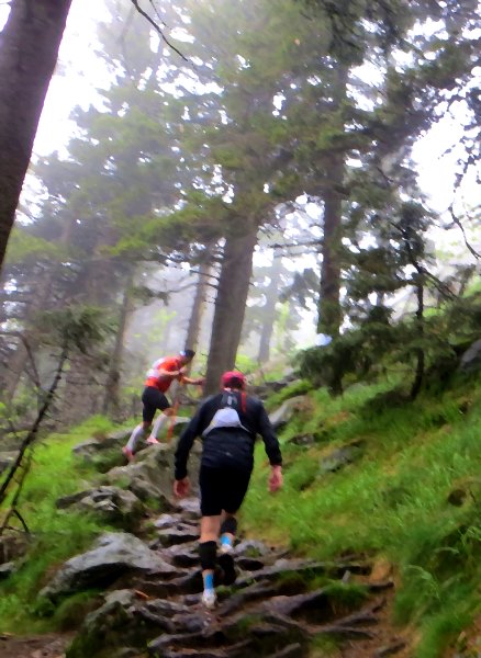 Der Knig im Bayerwald beim Ultratrail Lamer Winkel 2015