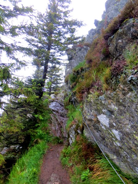 Der König im Bayerwald beim Ultratrail Lamer Winkel 2015