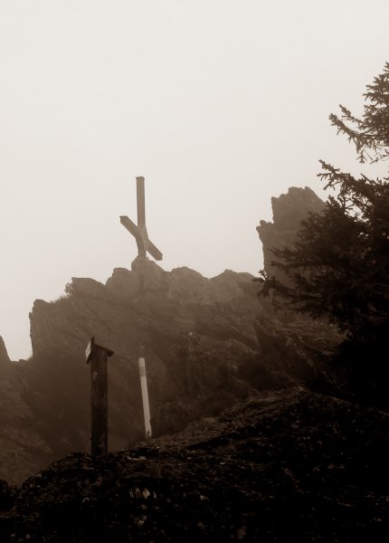 Der König im Bayerwald beim Ultratrail Lamer Winkel 2015