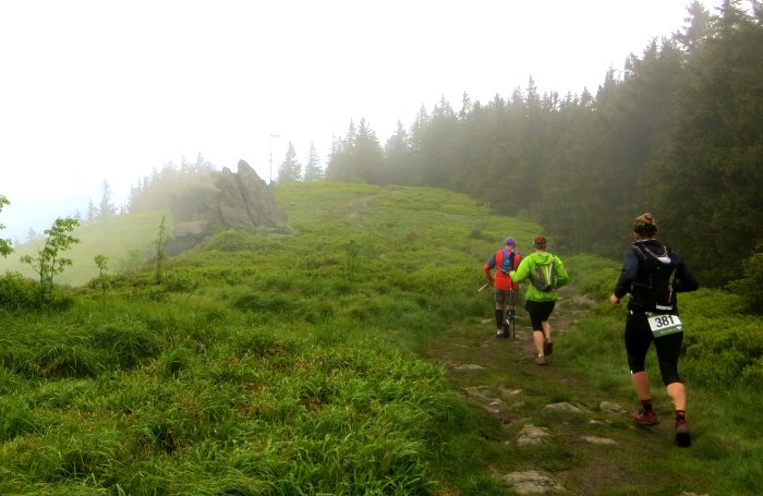 Der Knig im Bayerwald beim Ultratrail Lamer Winkel 2015