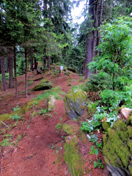 Der Knig im Bayerwald beim Ultratrail Lamer Winkel 2015