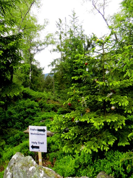 Der König im Bayerwald beim Ultratrail Lamer Winkel 2015