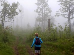 Der Knig im Bayerwald beim Ultratrail Lamer Winkel 2015