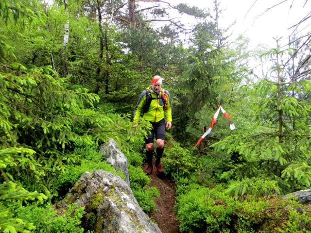 Osser Riese beim Ultratrail Lamer Winkel 2015