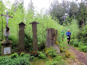 Osser Riese beim Ultratrail Lamer Winkel 2015