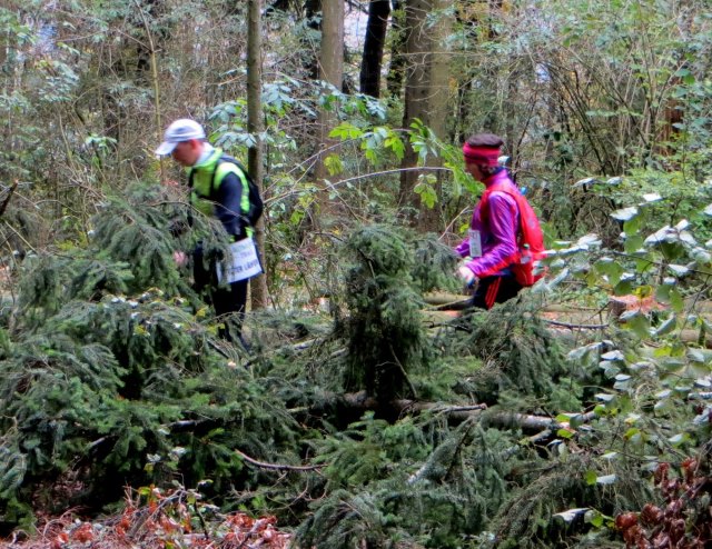 Altmühltrail 2016