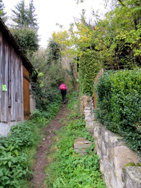 Altmühltrail 2016