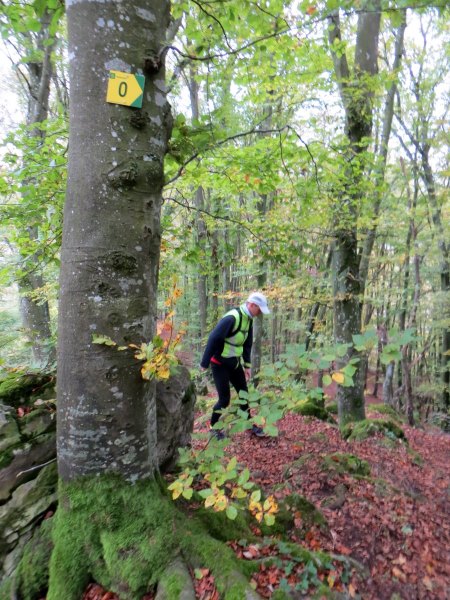Altmühltrail 2016