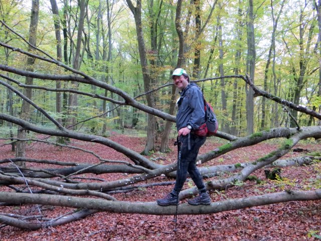 Altmühltrail 2016