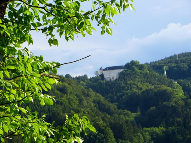 BOL6 - Niederbayerischer Orientierungslauf vom 08.06. - 11.06.2016