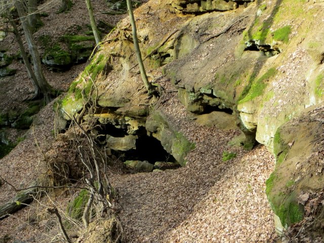 BuOLTL3 Joggingtour von Feucht mit Schwarzachklamm nach Altdorf am 24.02.2016