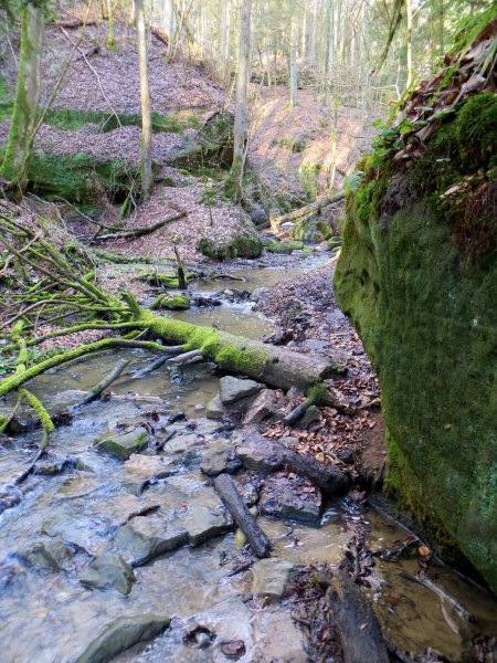 BuOLTL3 Joggingtour von Feucht mit Schwarzachklamm nach Altdorf am 24.02.2016