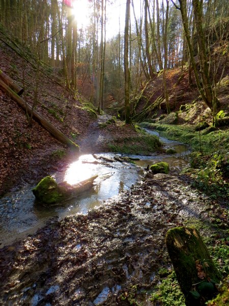 BuOLTL3 Joggingtour von Feucht mit Schwarzachklamm nach Altdorf am 24.02.2016