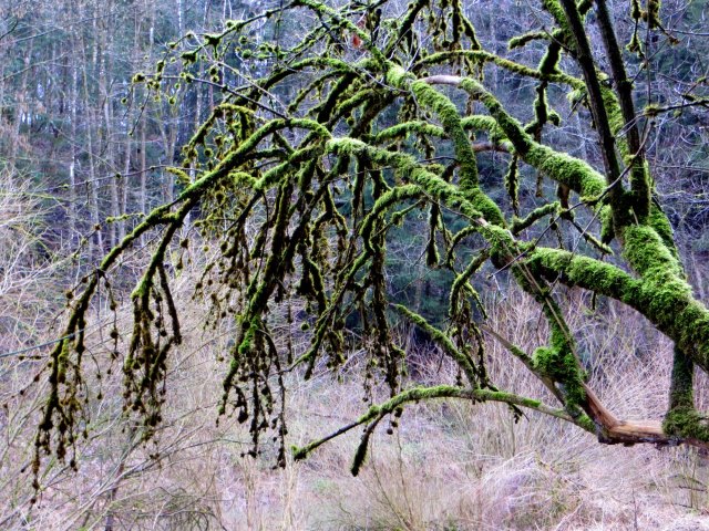 BuOLTL3 Joggingtour von Feucht mit Schwarzachklamm nach Altdorf am 24.02.2016