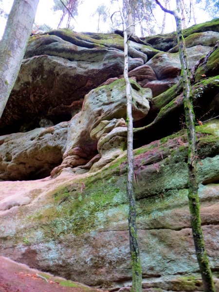 BuOLTL3 Joggingtour von Feucht mit Schwarzachklamm nach Altdorf am 24.02.2016