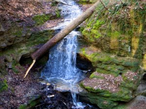 BuOLTL3 Joggingtour von Feucht mit Schwarzachklamm nach Altdorf am 24.02.2016