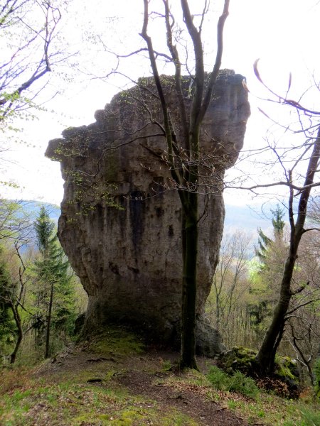 BuOLTL5 Joggingtour von Hartmannshof nach Hersbruck am 14.04.2016