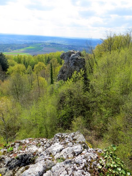 BuOLTL7 Joggingtour von Buttenheim nach Forchheim am 29.04.2016