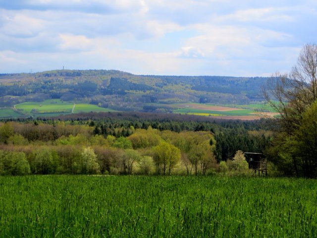 BuOLTL7 Joggingtour von Buttenheim nach Forchheim am 29.04.2016