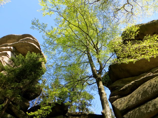 BuOLTL8 Joggingtour durch das Fichtelgebirge von Hof nach Weidenberg vom 07.05 - 09.05.2016