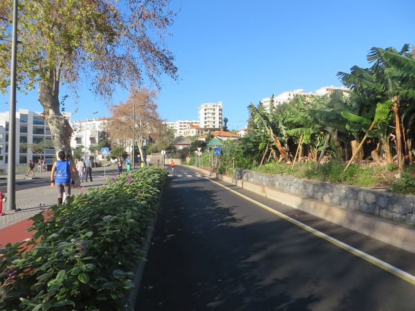 Funchal Marathon 2016