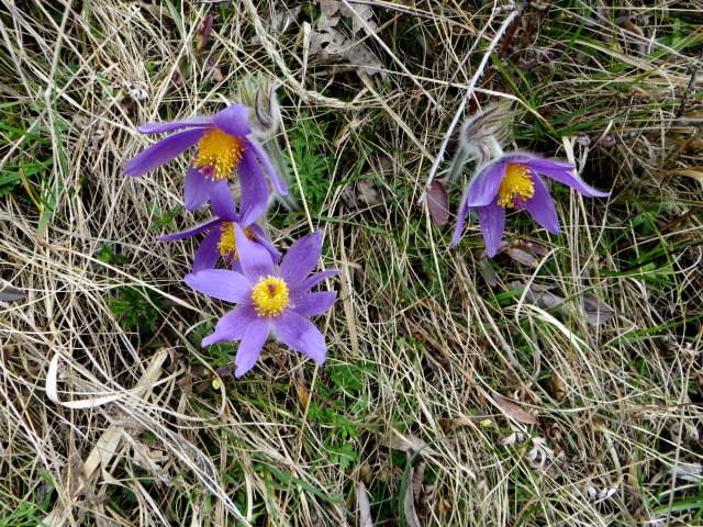 BuOLTL4 Joggingtour von Kinding nach Treuchtlingen vom 02.04. - 04.04.2016