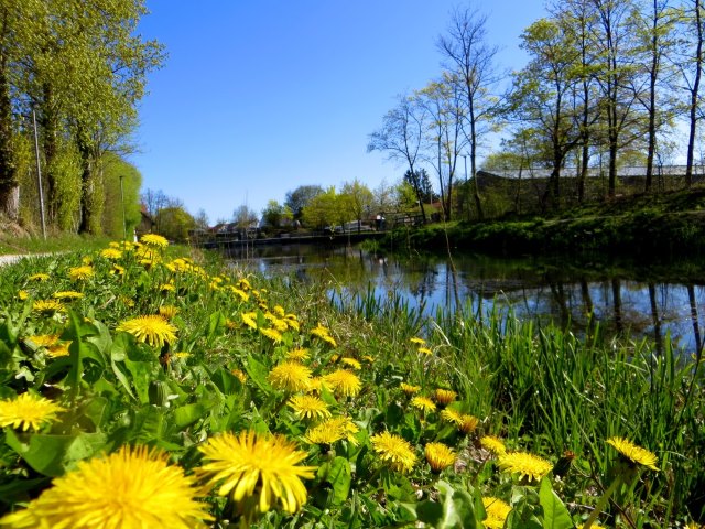 BuOLTL6 Joggingtour am Ludwig-Donau-Main-Kanal und der Schwarzachklamm von Neumarkt nach Feucht am 21.04.2016