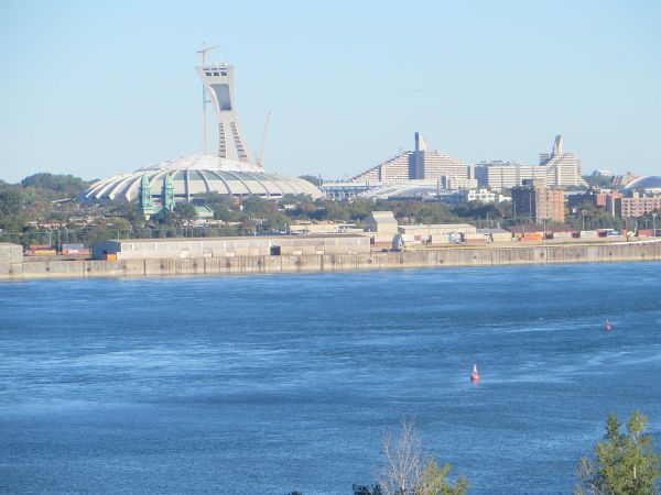 Montreal Marathon 2016