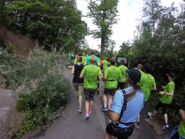 Novi Grad Marathon 2016