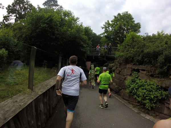 Tiergartenlauf Nrnberg