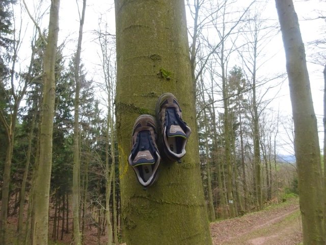 Bundesorientierungslauf 1 - Etappe 2