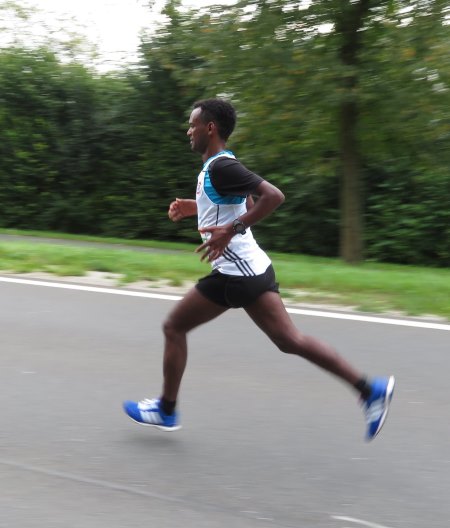 Frnkische Schweiz Marathon 2017