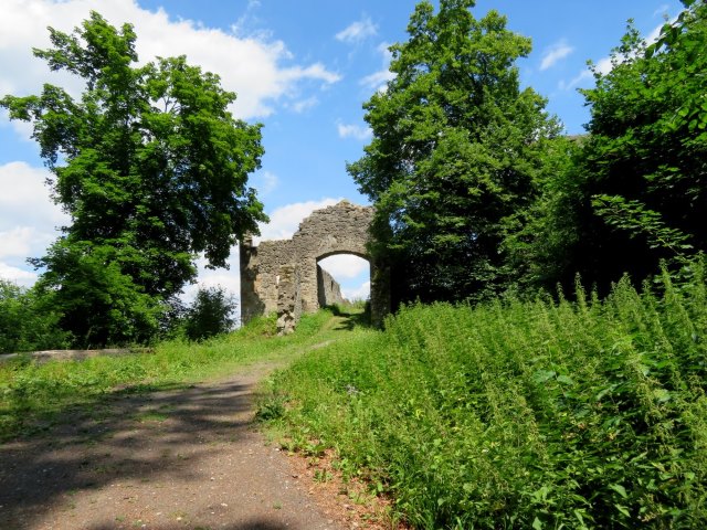 Hassberge Orientierungslauf 2017