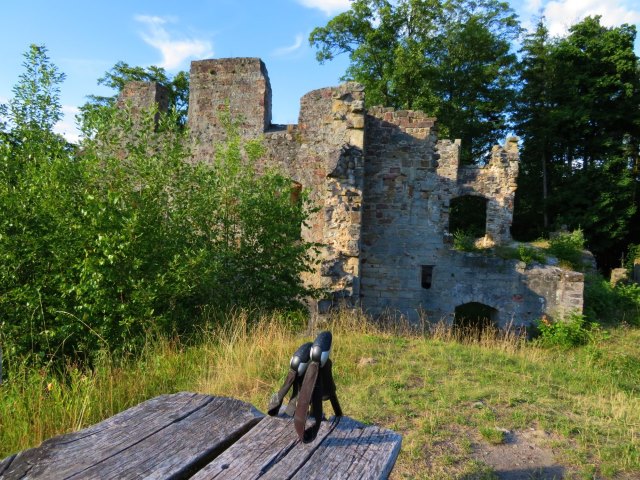 Hassberge Orientierungslauf 2017