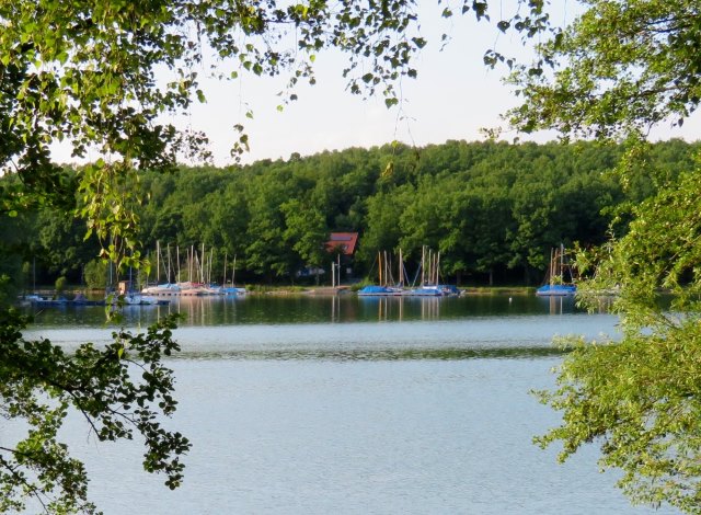 Hassberge Orientierungslauf 2017