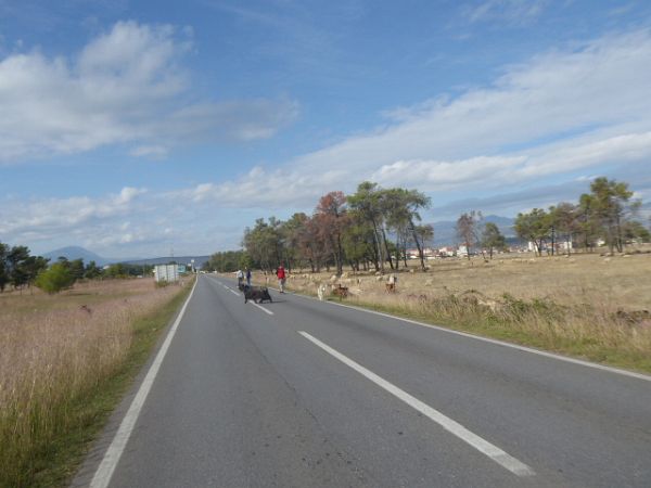 Podgorica Marathon 2017