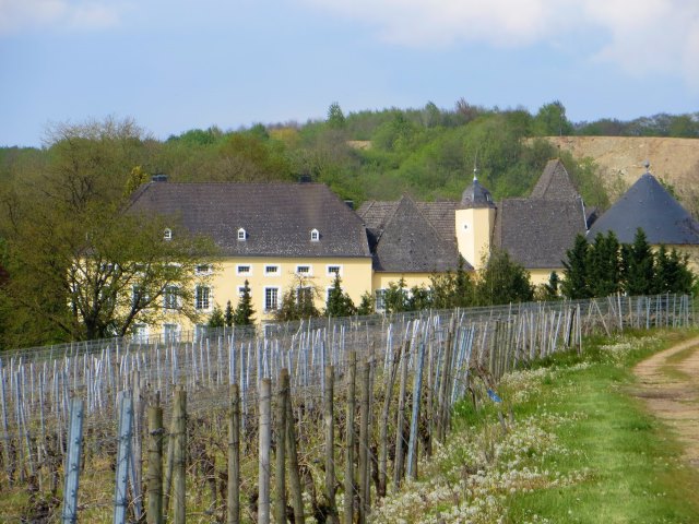 Saarland Orientierungslauf 2017