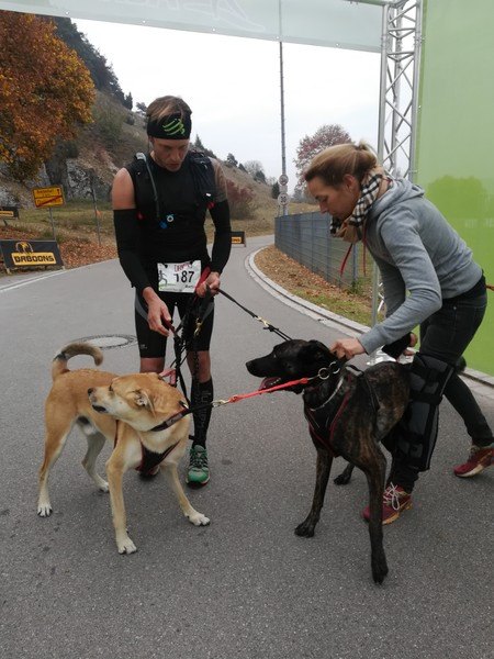 Altmühltrail 2018