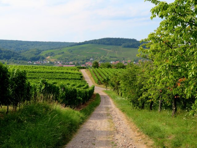 Bundesorientierungslauf 2018