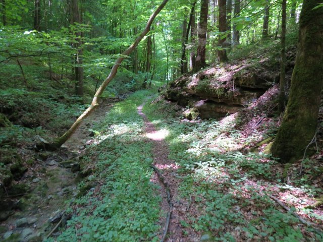 Frnkische Schweiz Orientierungslauf 2018 von Burgkunstadt nach Forchheim