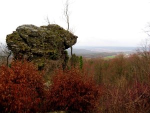 Nachträglicher Geburtstagslauf von Forchheim auf die Rettener Kanzel am 23.12.2018