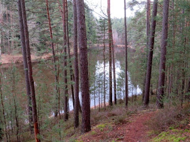 Peak Hunting Tour auf den Geiersberg beim Schwarzen Weiher westlich von Baiersdorf am 31.03.2018