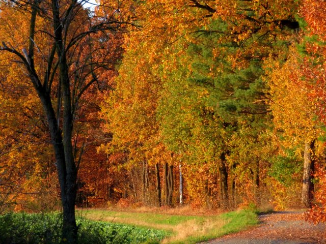 Gipfel Tour auf den Herberg bei Lichtenfels