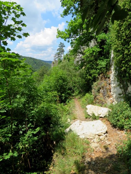 Frnkische Schweiz Tour mit Hohes Kreuz und 3 Hhlen am 03.06.2018