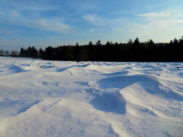 Two Peaks Lauf auf den Burschel und Katzenberg am 01.03.2018