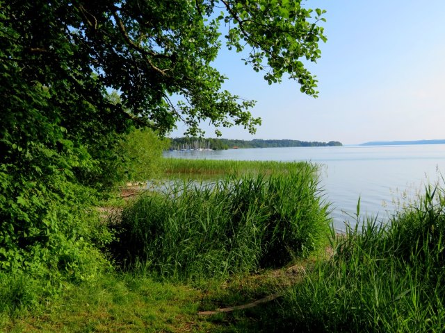 Knigsmarsch von Starnberg nach Fssen vom 08.06. - 11.06.2018